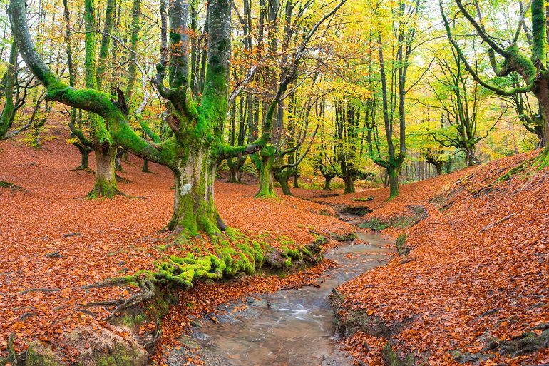 INFOBI, Diputación Foral de Bizkaia