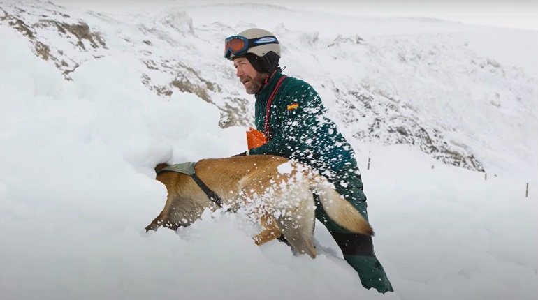 K9 buscando un desaparecido bajo la nieve. Reportaje sobre el GREIM de la Guardia Civil