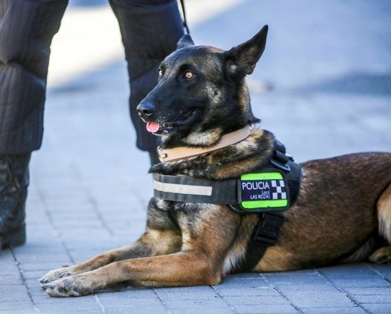 Policía Local de Las Rozas: innovación y tecnología