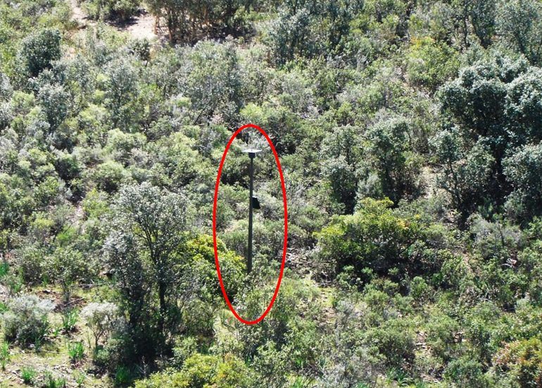 Detección de amenazas en entornos rurales con sensores acústicos