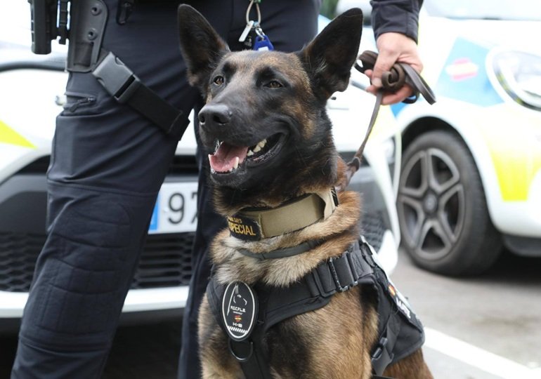 Alcobendas y su modelo policial: datos, tecnología y proximidad. Entrevista al jefe de Policía Local Antonio Pardo.